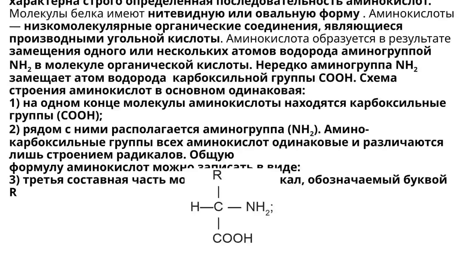 Белки и аминокислоты 3