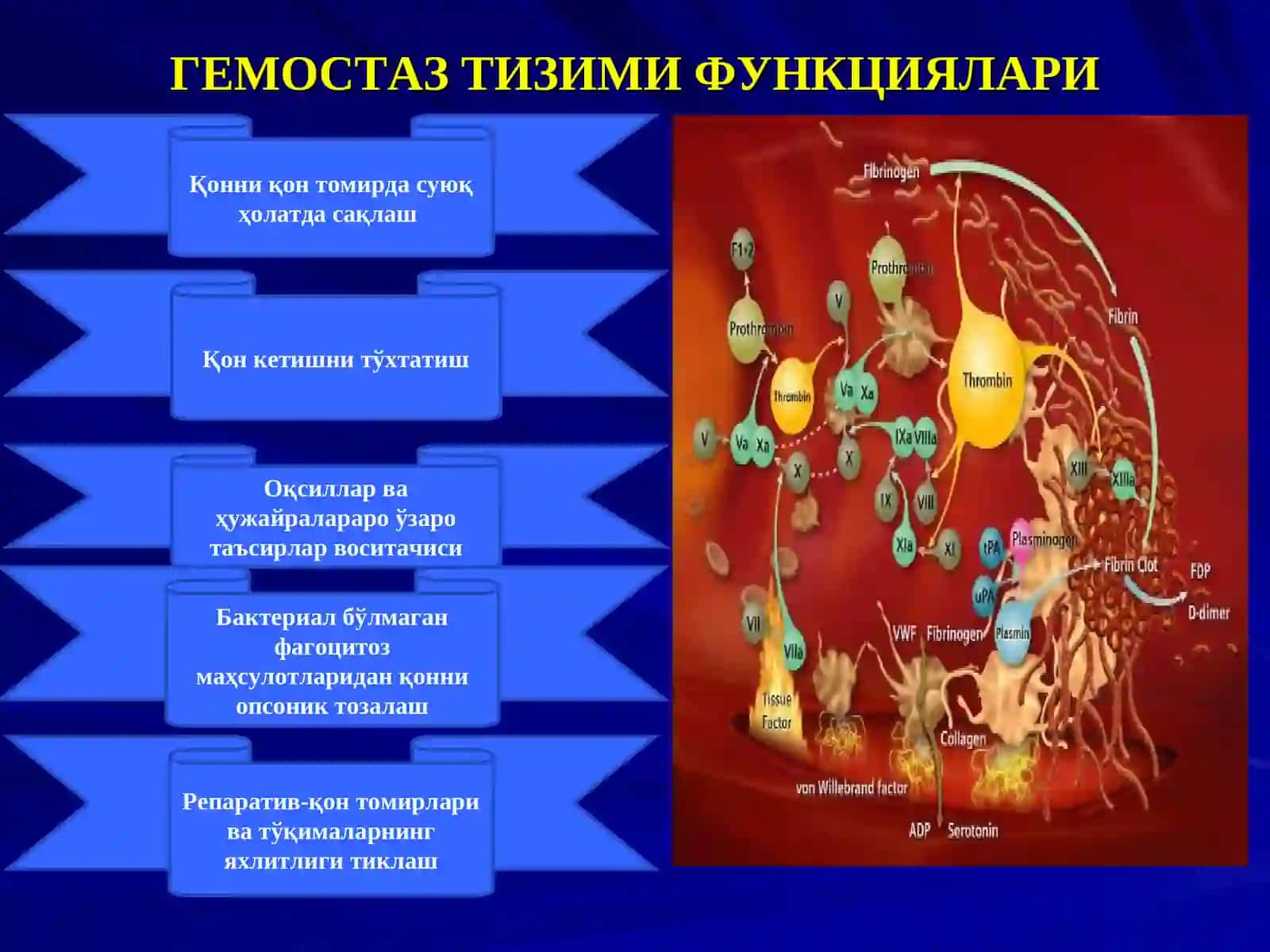 ҚОН ИВИШ ТИЗИМИ ЛАБОРАТОР КЎРСАТКИЧЛАРИ 3