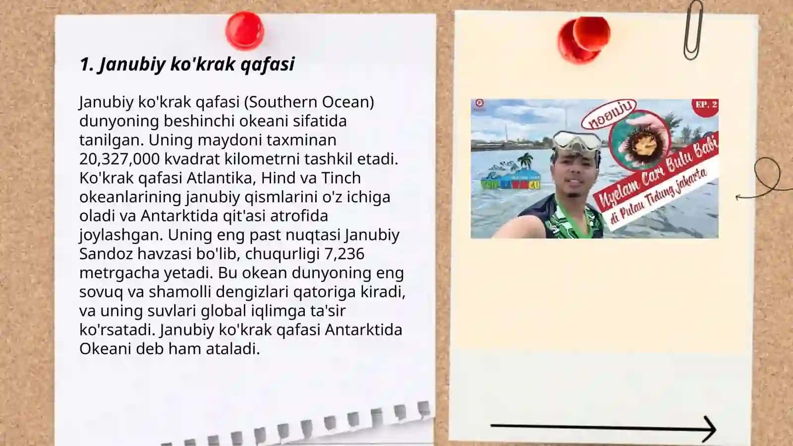Koʻkrak qafasi sikeletlari 3