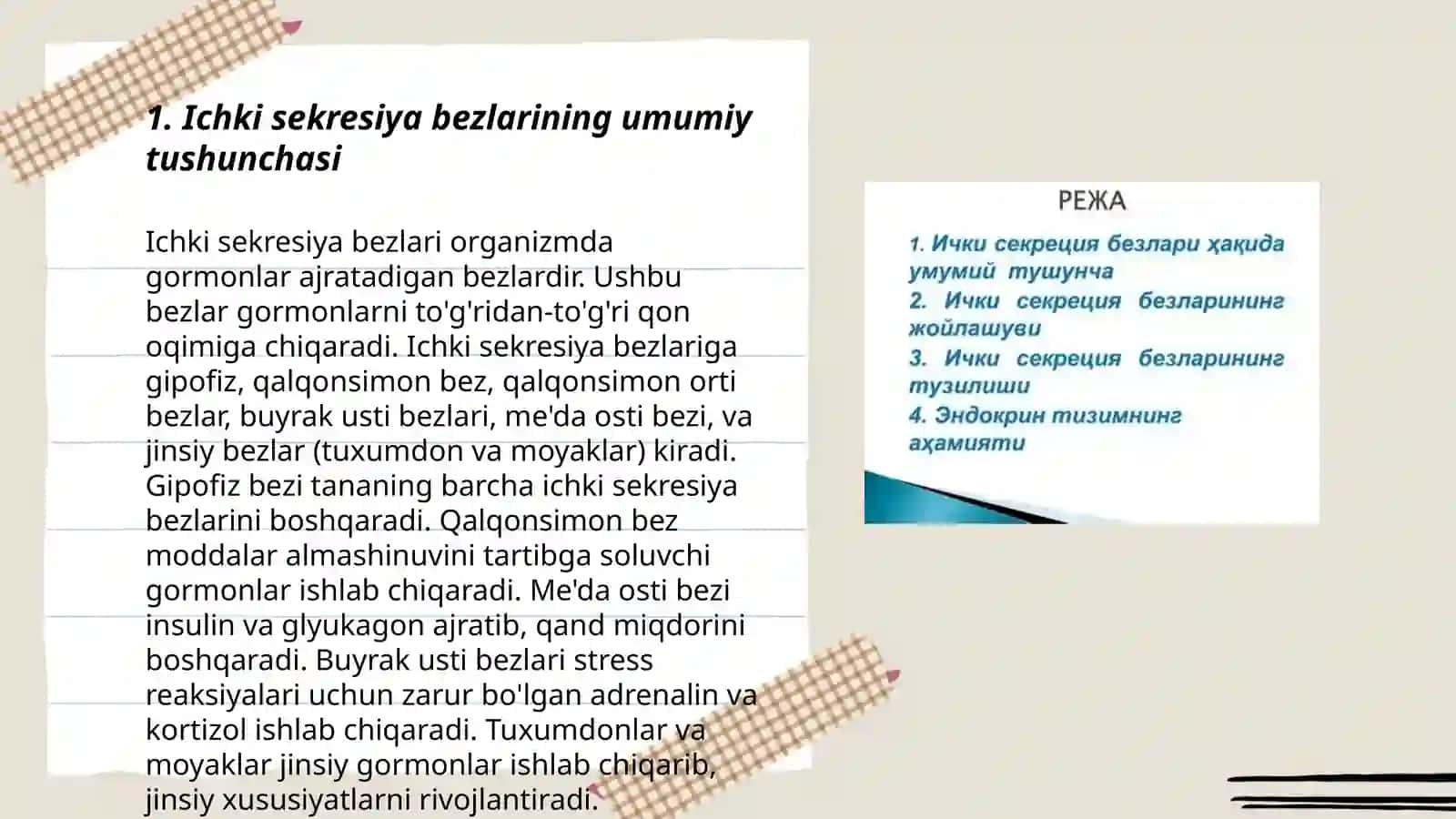 Ichki sekresiya bezlari haqida umumiy ma’lumot 3