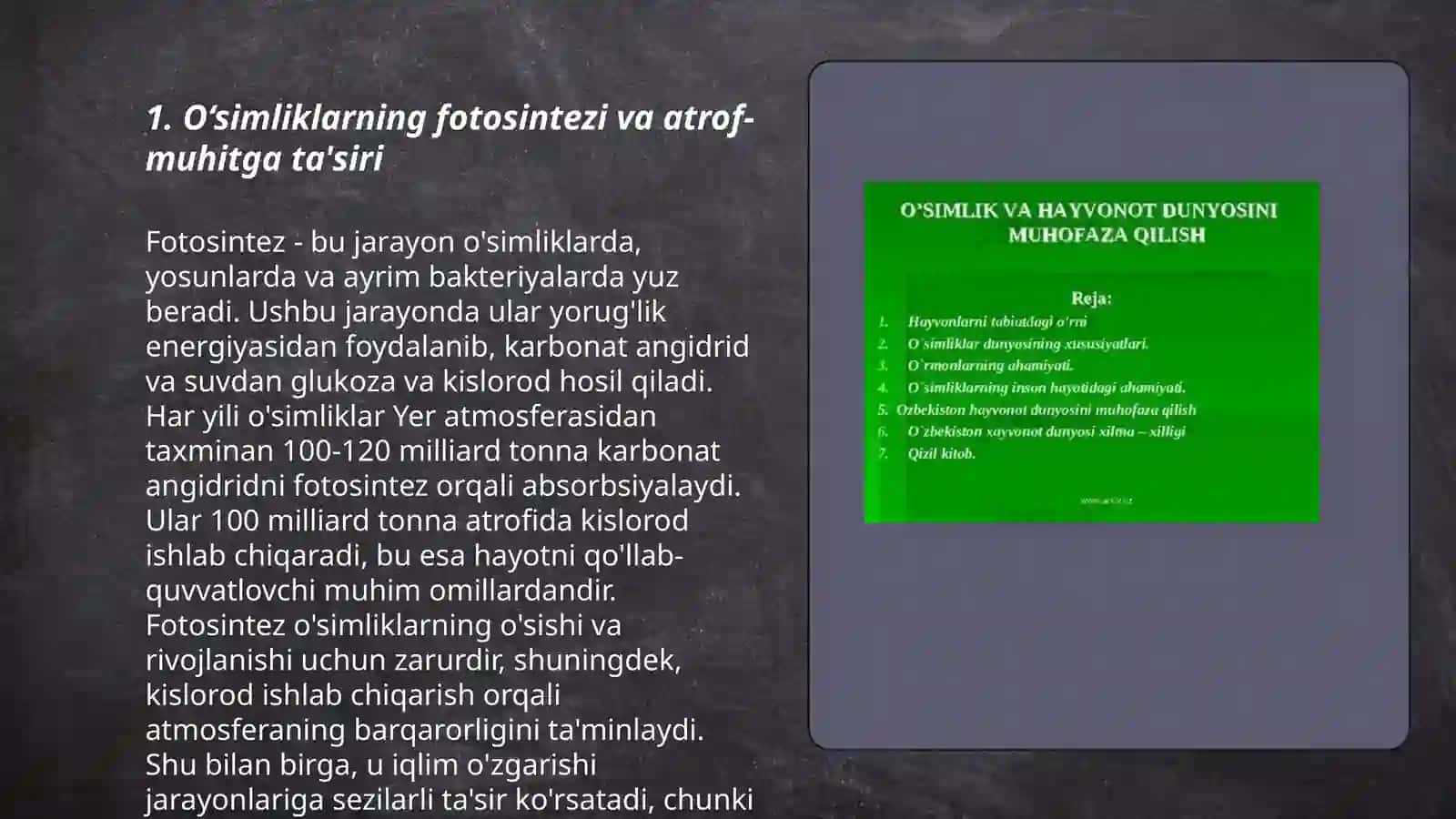 O'simliklarning tabiat va inson hayotidagi o'rni 3