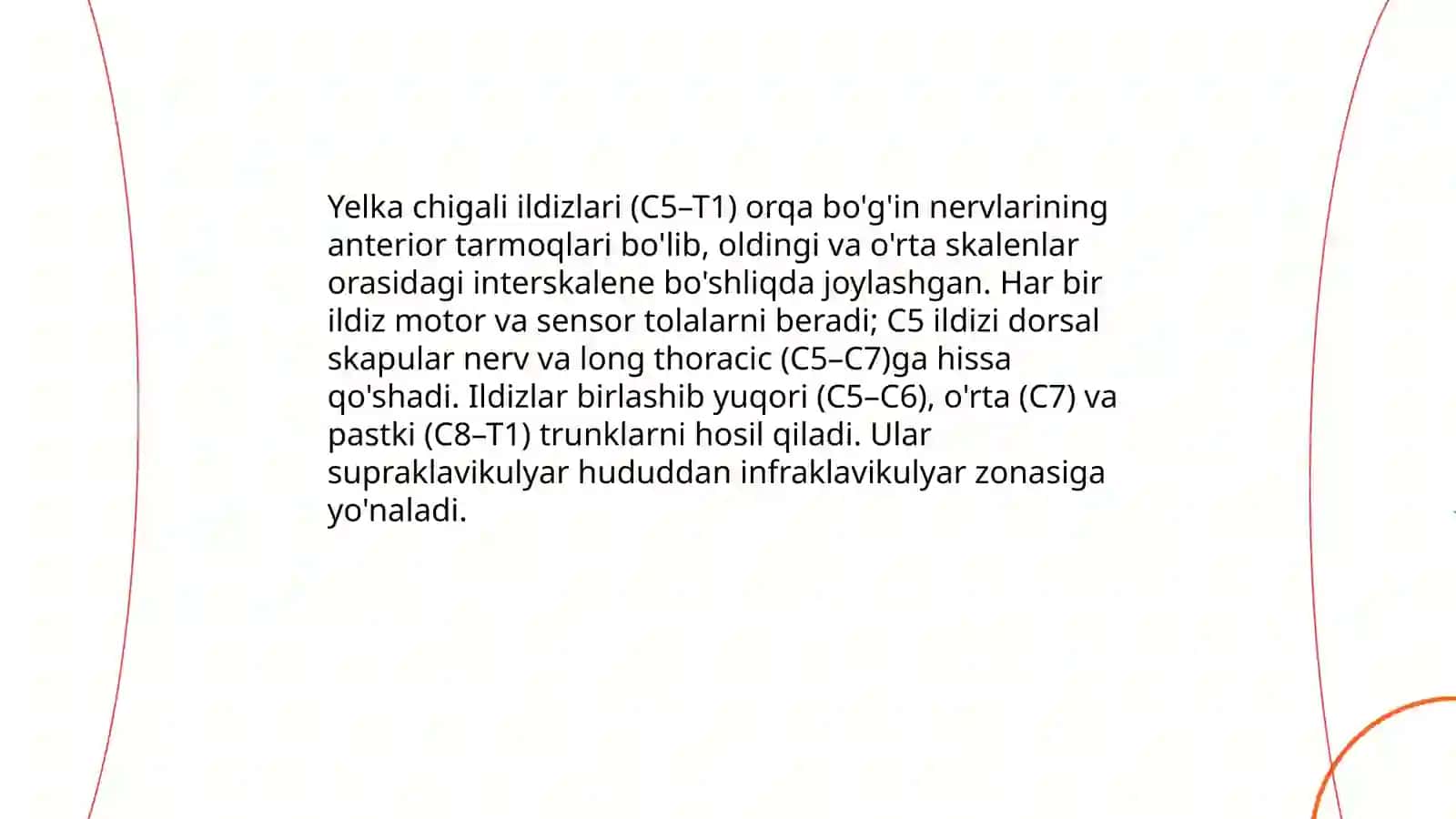 Yelka chigali (plexus brachialis) 3