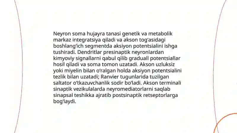 Neyronlar fiziologiyasi 3