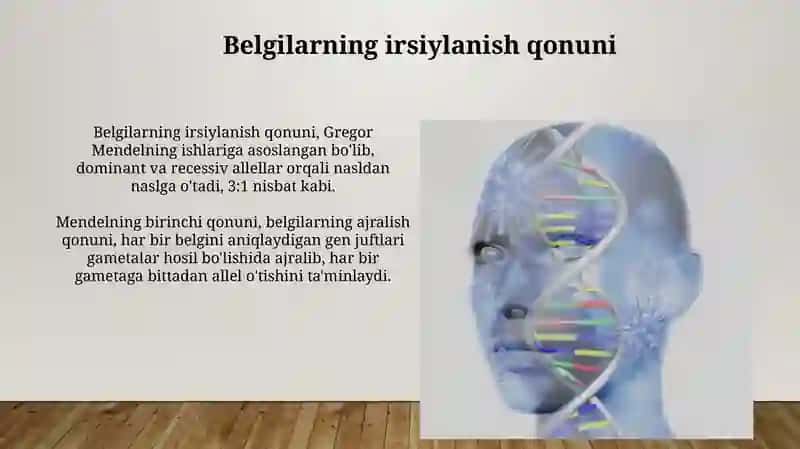 Belgilarning irsiylanish qonuni 3