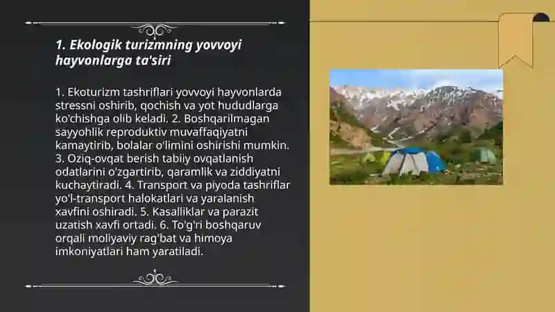 Ekologik turizmni tabiatga ta'siri 3