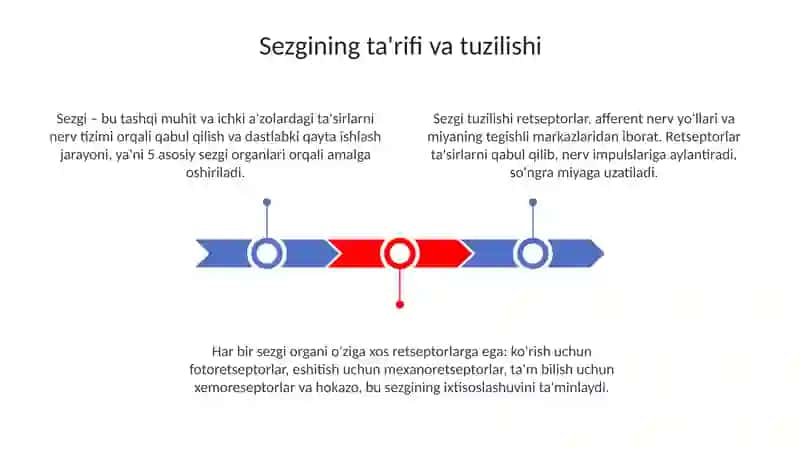 Sezgilarning to'liq organi 3