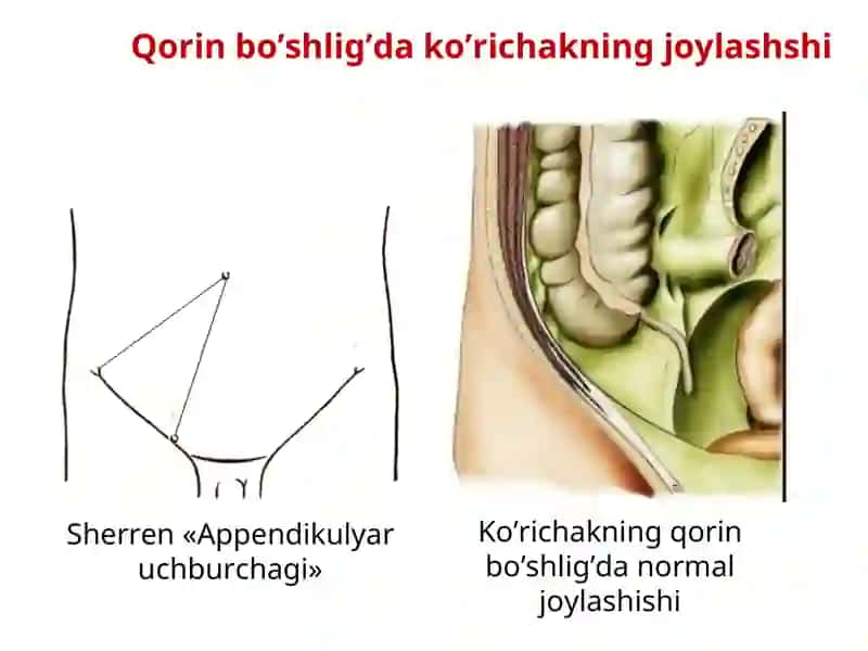 O’TKIR APPENDISIT 3