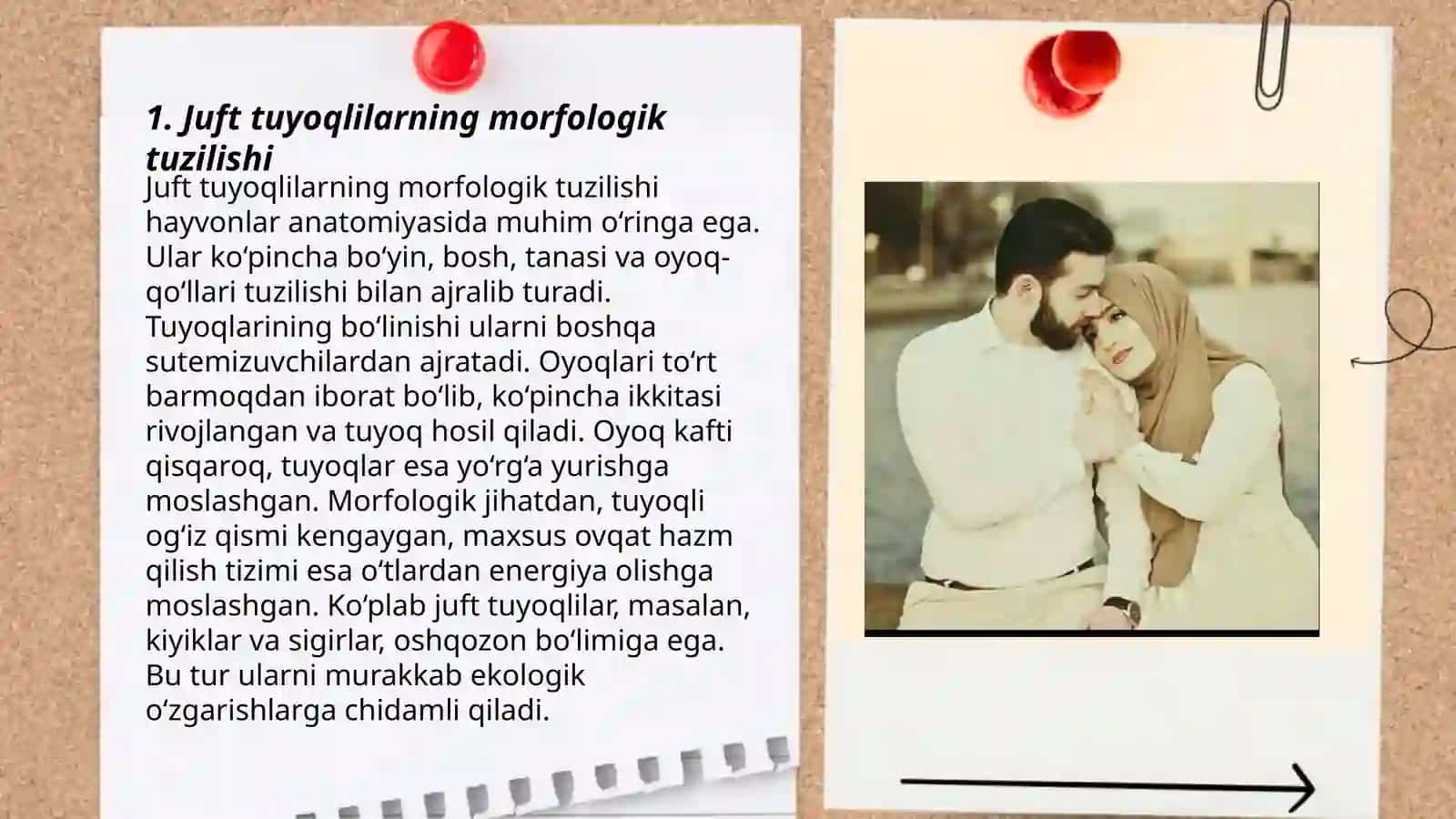 Juft va toq tuyoqlilarning o'xshashliklari va farqlari 3