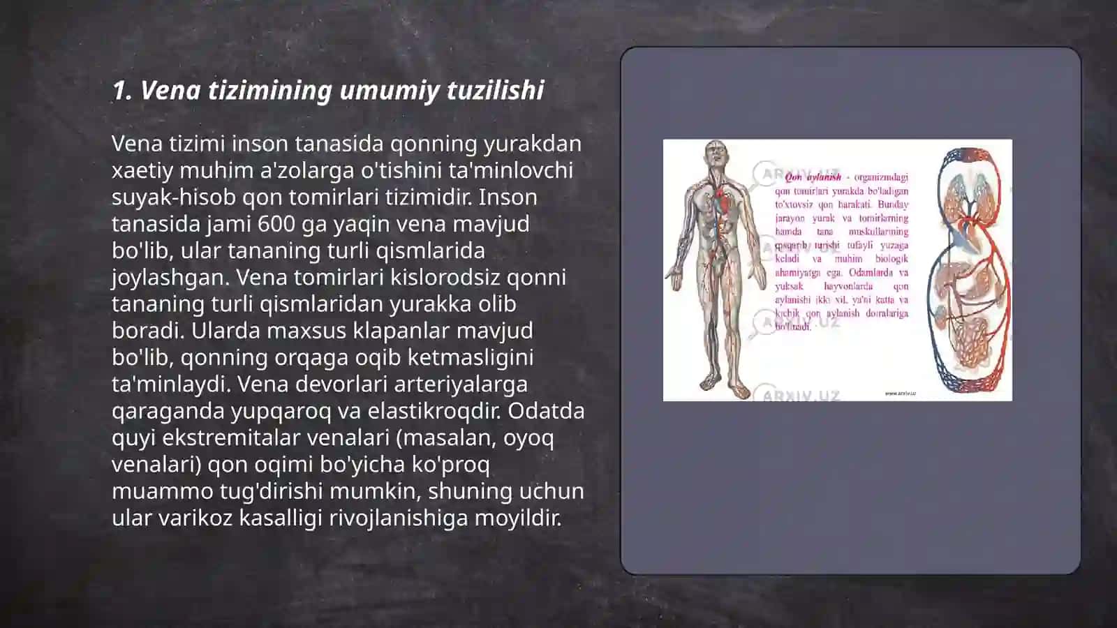 VENA TIZIMINING FUNKSIONAL ANATOMIYASI LIMFA VA EMON QISMINING FUNKSIONAL ANATOMIYASI 3