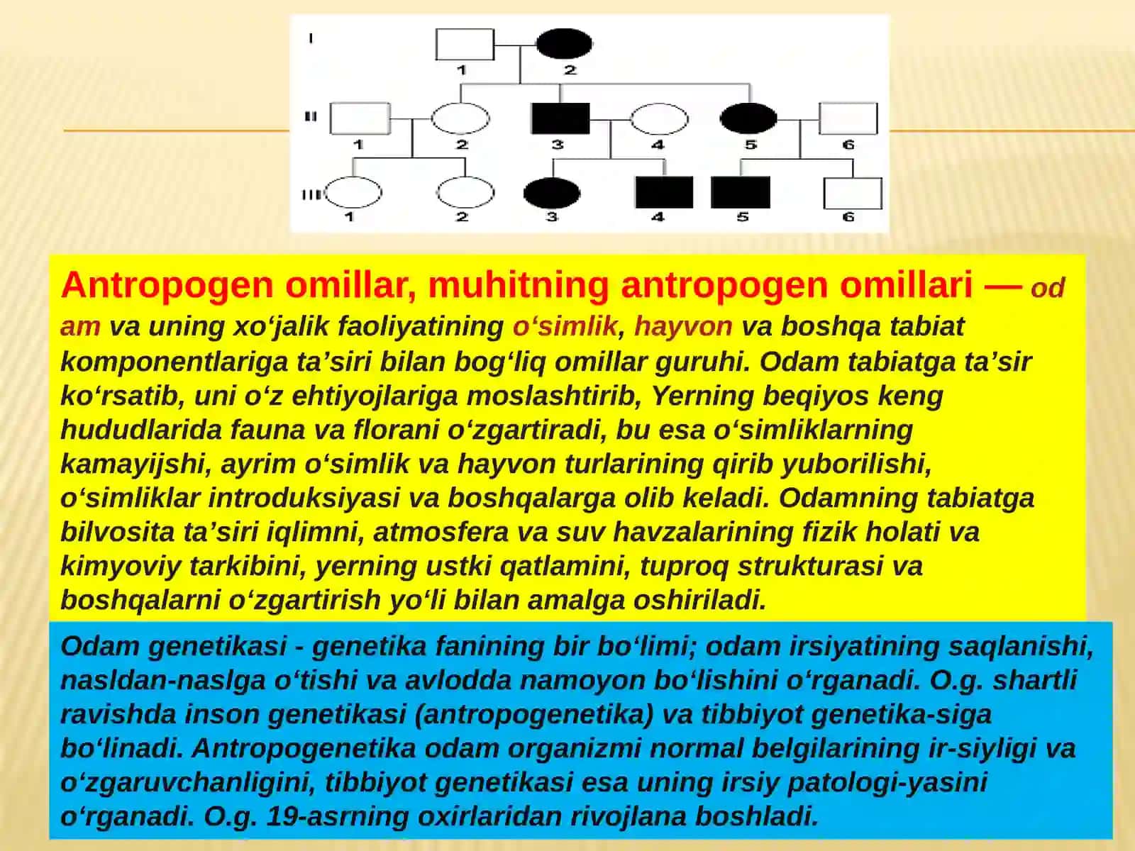 ANTROPOGENETIKA USULLARI: SHAJARA USULI 3