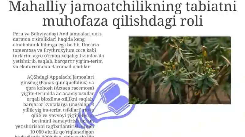 Tog' zonasi dorivor o'simliklari 3