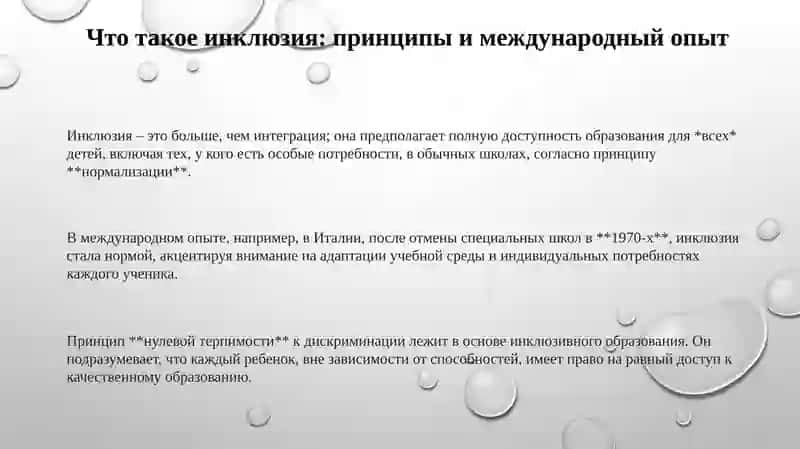 Международный опыт развития инклюзивного образования 3