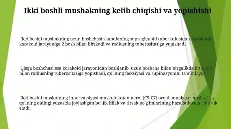Ikki Boshli Mushak Mashqlari 3
