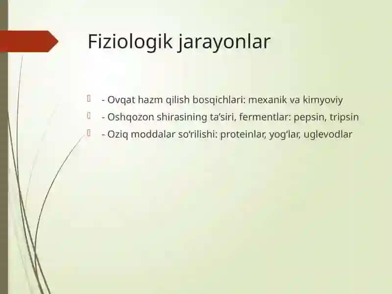 Oshqozon-ichak tizimining anatomo-fiziologik xususiyatlari 3