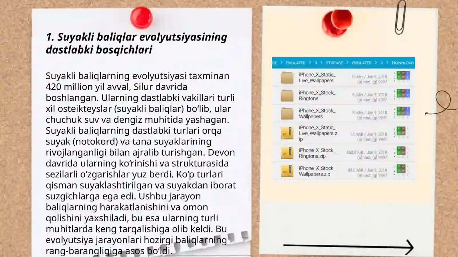 Suyakli baliqlarning kelib chiqishi sistematikasi va evolyutsiyasi 3