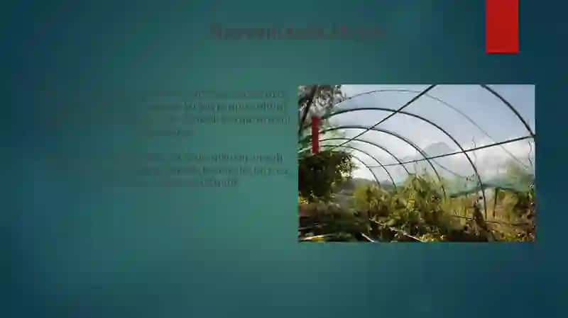 Meyozning biologik ahamiyati 3
