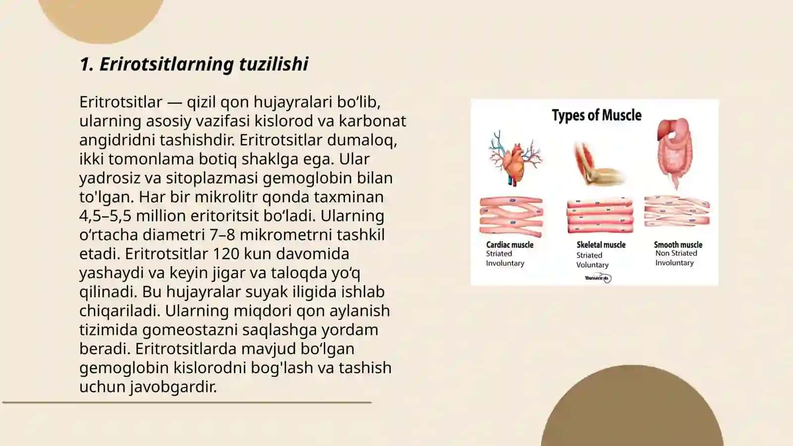 Eritrotsitlar, turlari funksiyalari 3