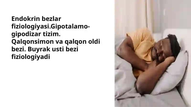 Endokrin bezlar fiziologiyasi. Gipotalamo-gipofiz tizimi. 3