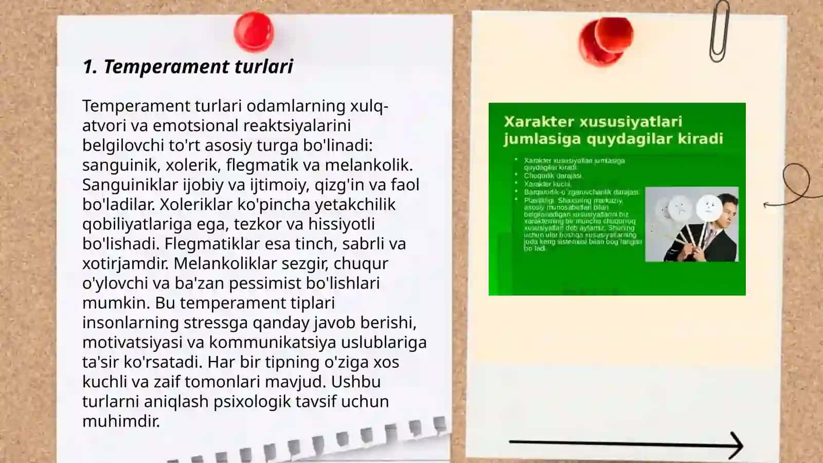 Shaxsning individual tiplari temperament xususiyatlari 3