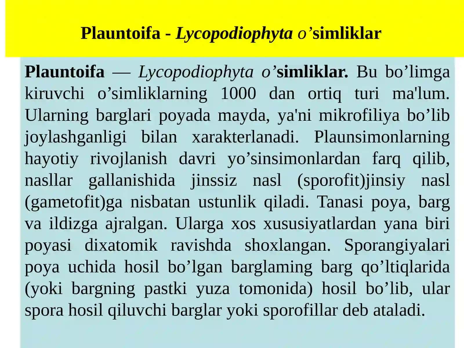 Plauntoifa — Lycopodiophytabo’limi 3