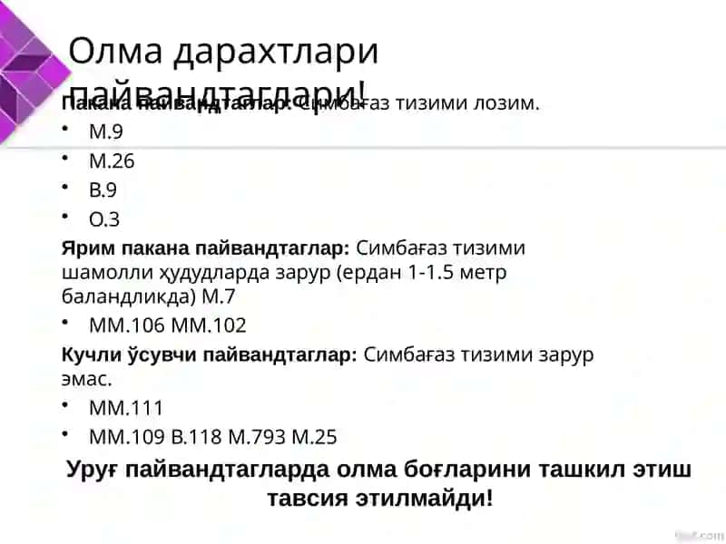 Ma’ruga: Vegetativ ko‘payadigan intensiv tipdagi payvand taglarini morfo-biologik xususiyatlari va yetishtirish texnologiyasi 3