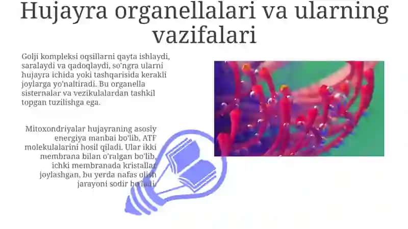 Hujayra tuzilishi nazariyasi 3