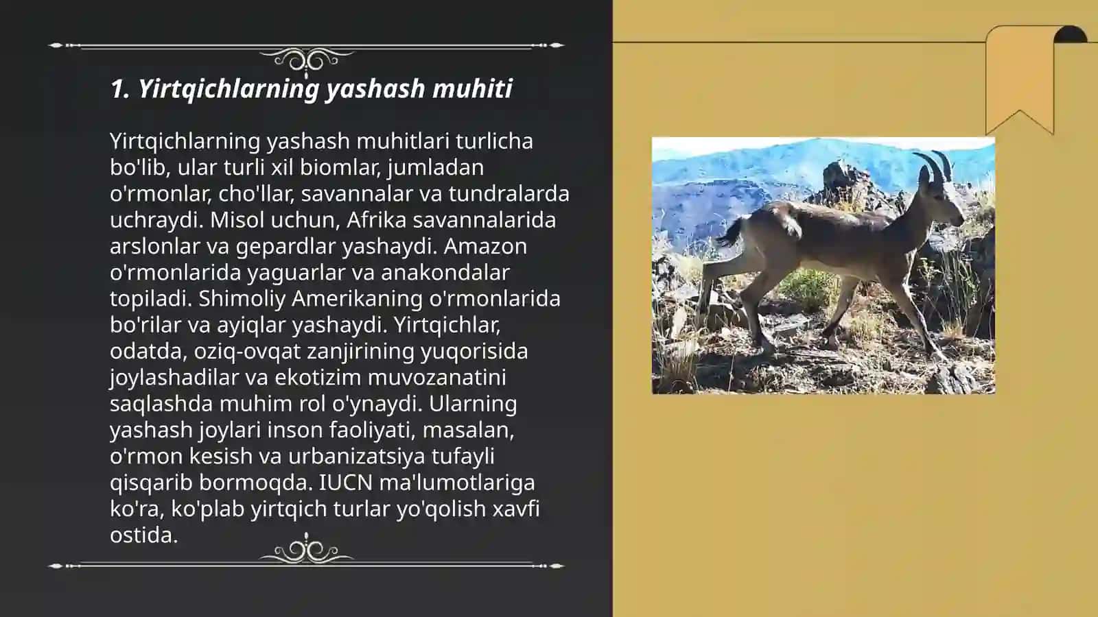 Yirtqich va tuyoqli sutemizuvchi hayvonlar 3