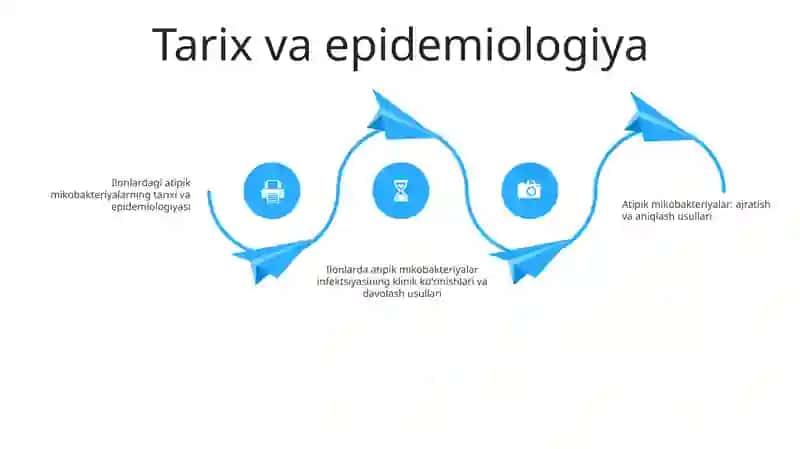 Atipik Mikrobakteriyalar Va Ularning Amalyotdagi Ahamiyati 3