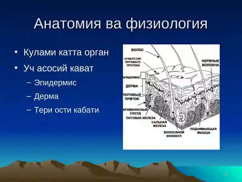 Юмшок тукималар травмаси 3