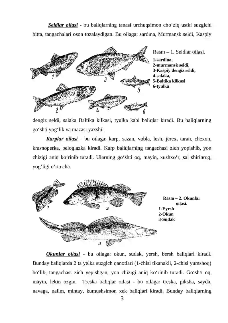 BALIQDAN TAOMLAR TAYYORLASH TEXNOLOGIYASI 3