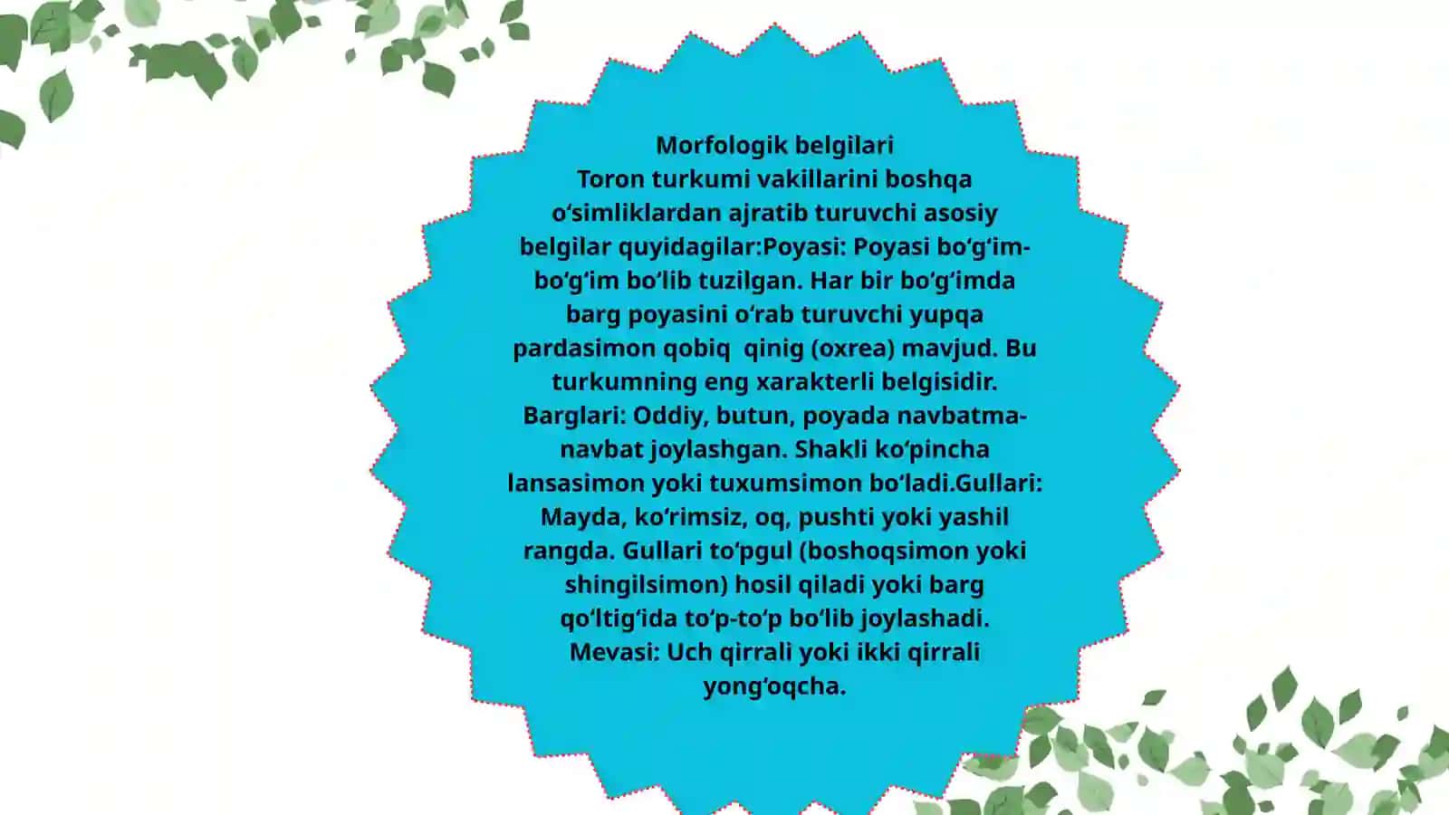 Toron (Polygonum) turkumi dorivor o‘simliklarning xalq xo‘jaligidagi ahamiyati 3