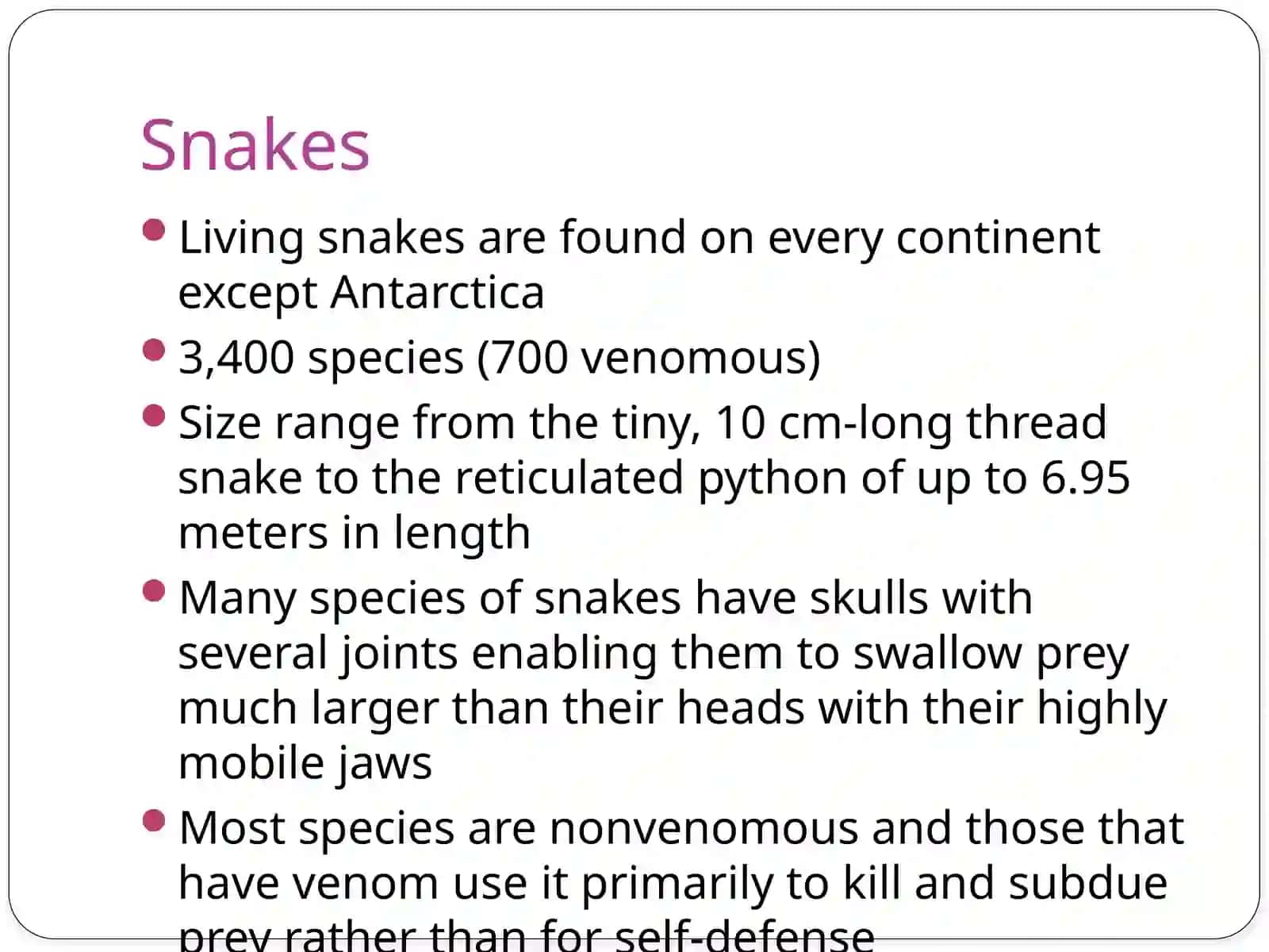 Snake Bites 3
