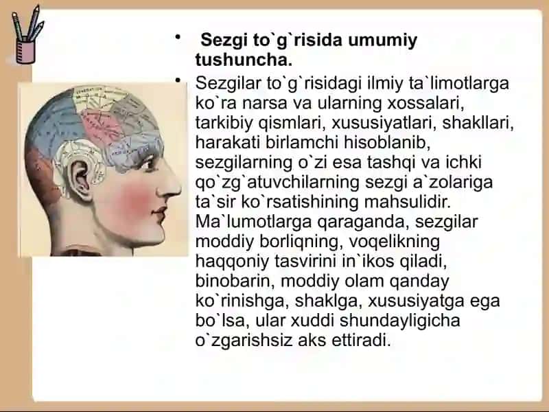 sezgi psixofizikasi 3