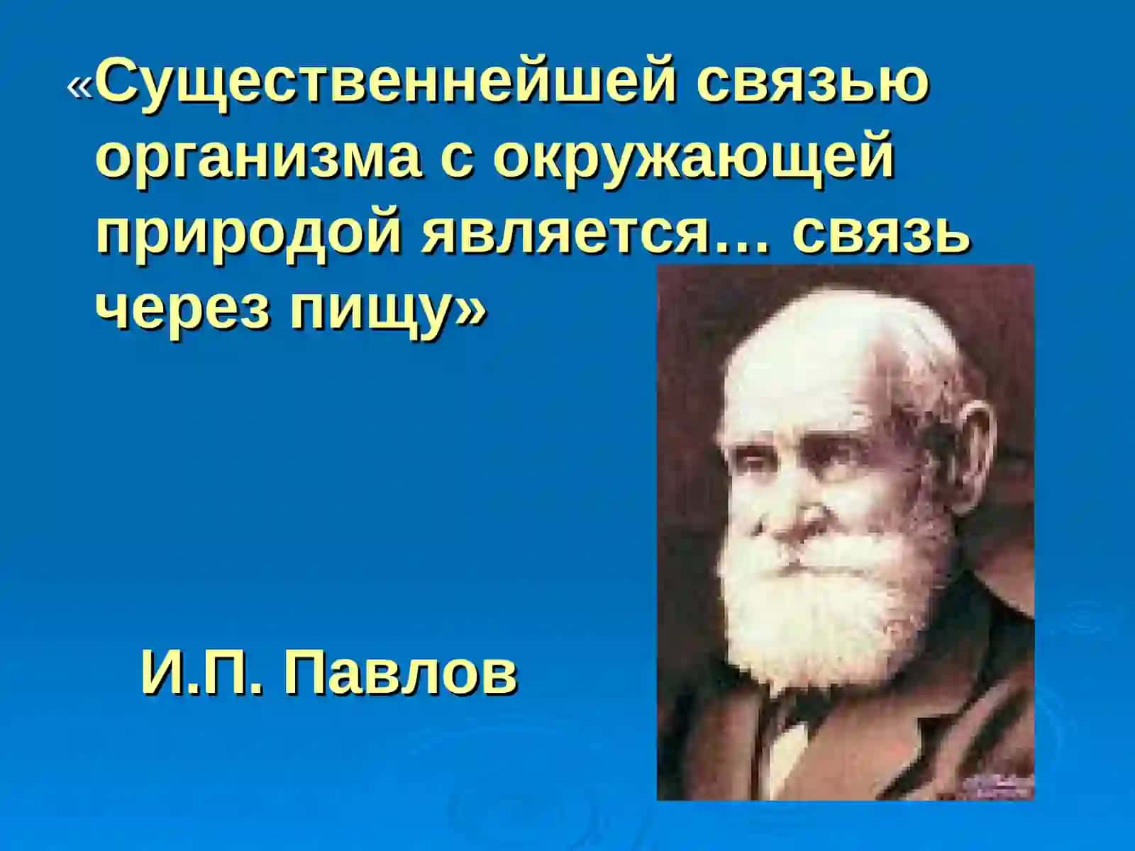 Физиология пищеварения 3