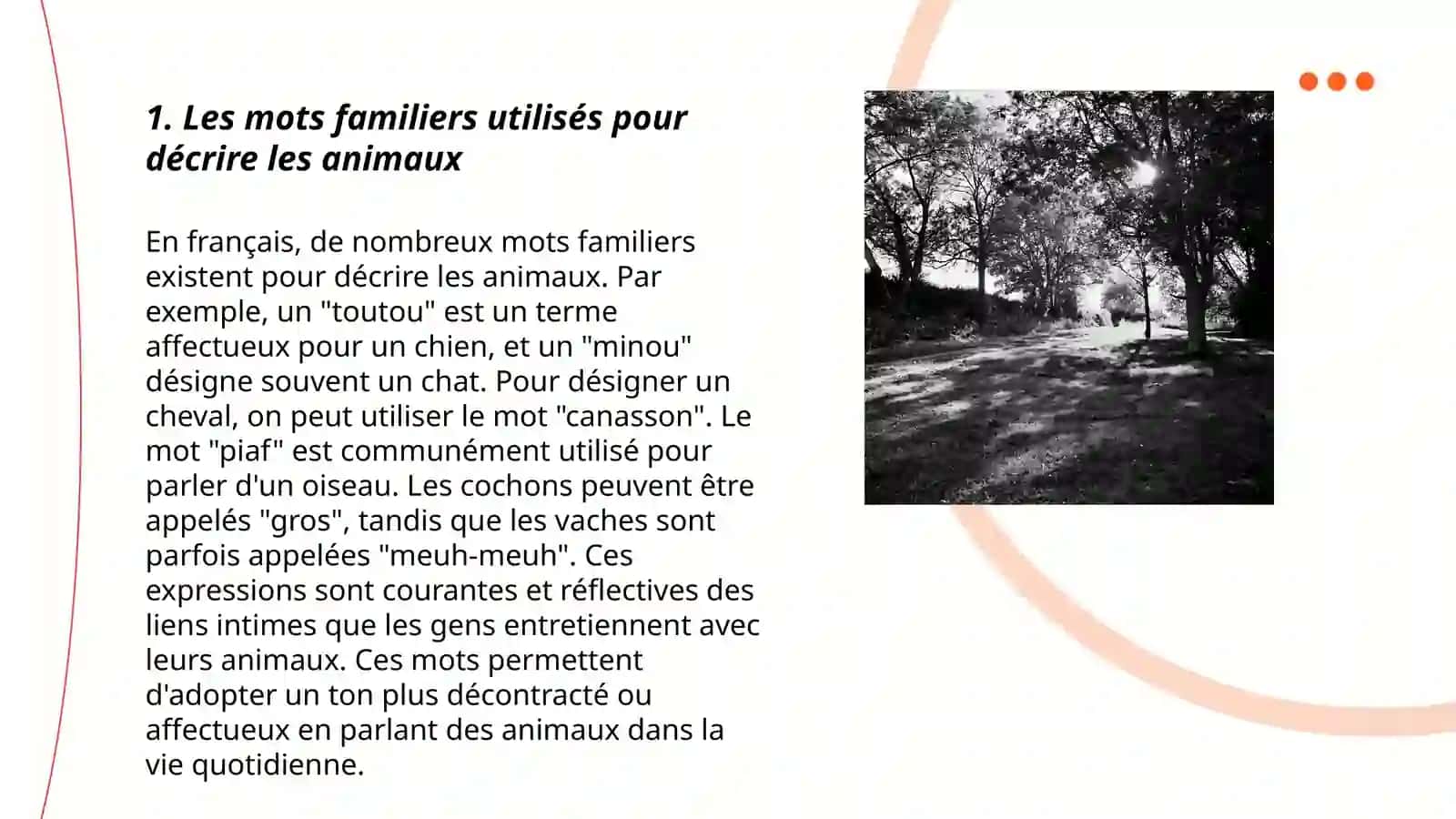 Les mots familiers. Les droit des animaux,,Nature.Animaux'' 3
