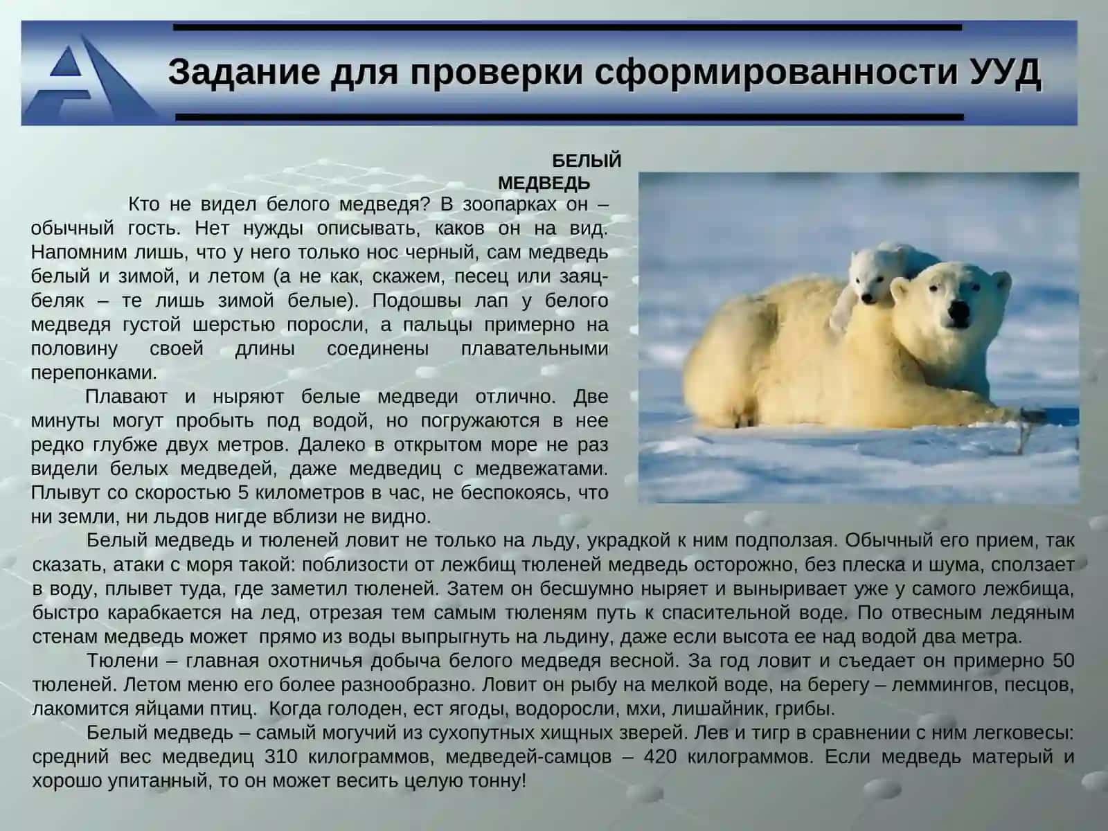 Универсальные учебные действия (УУД) 3