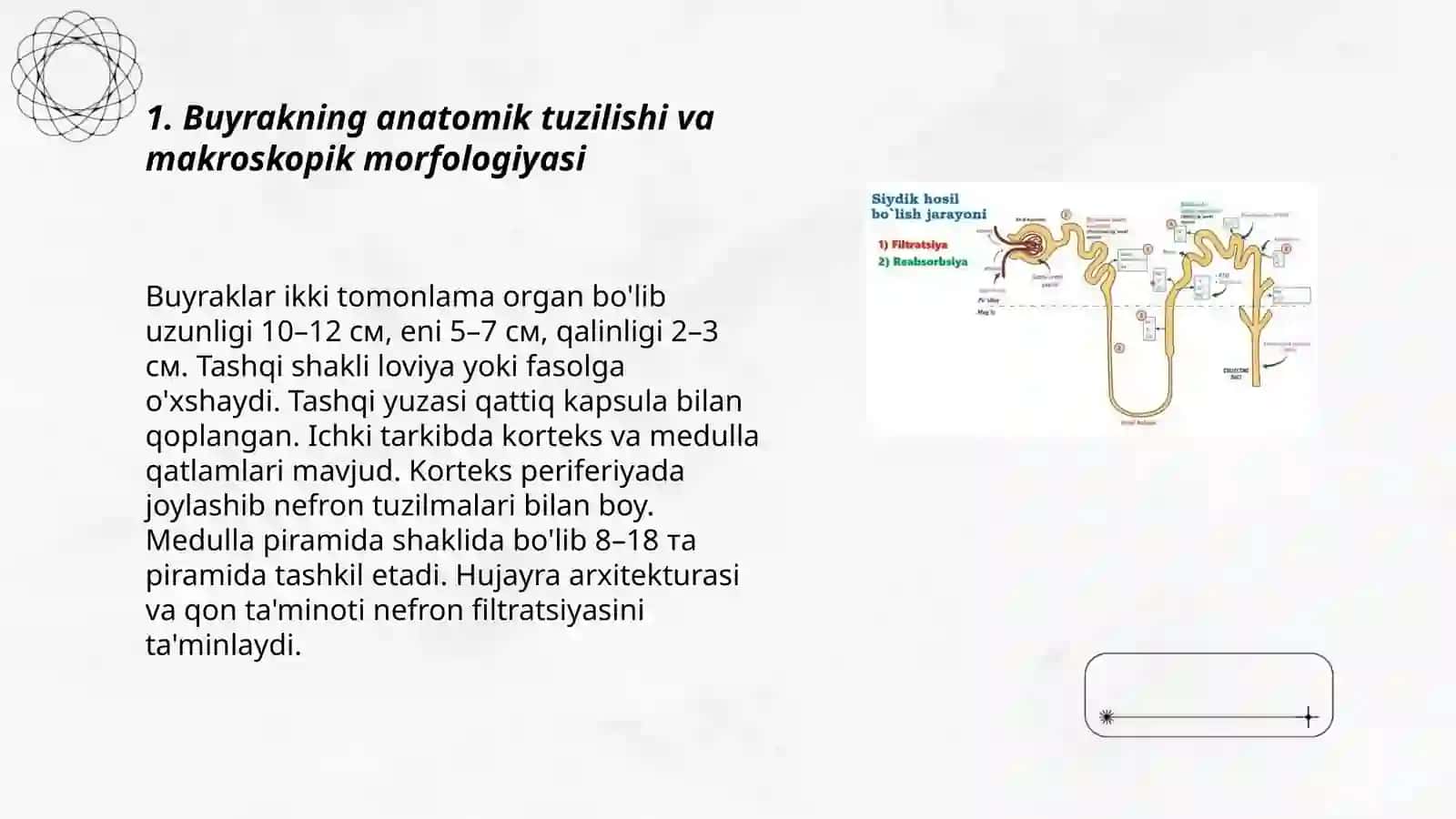 Siydik chiqarish tizimining funksional va anatomik holati 3