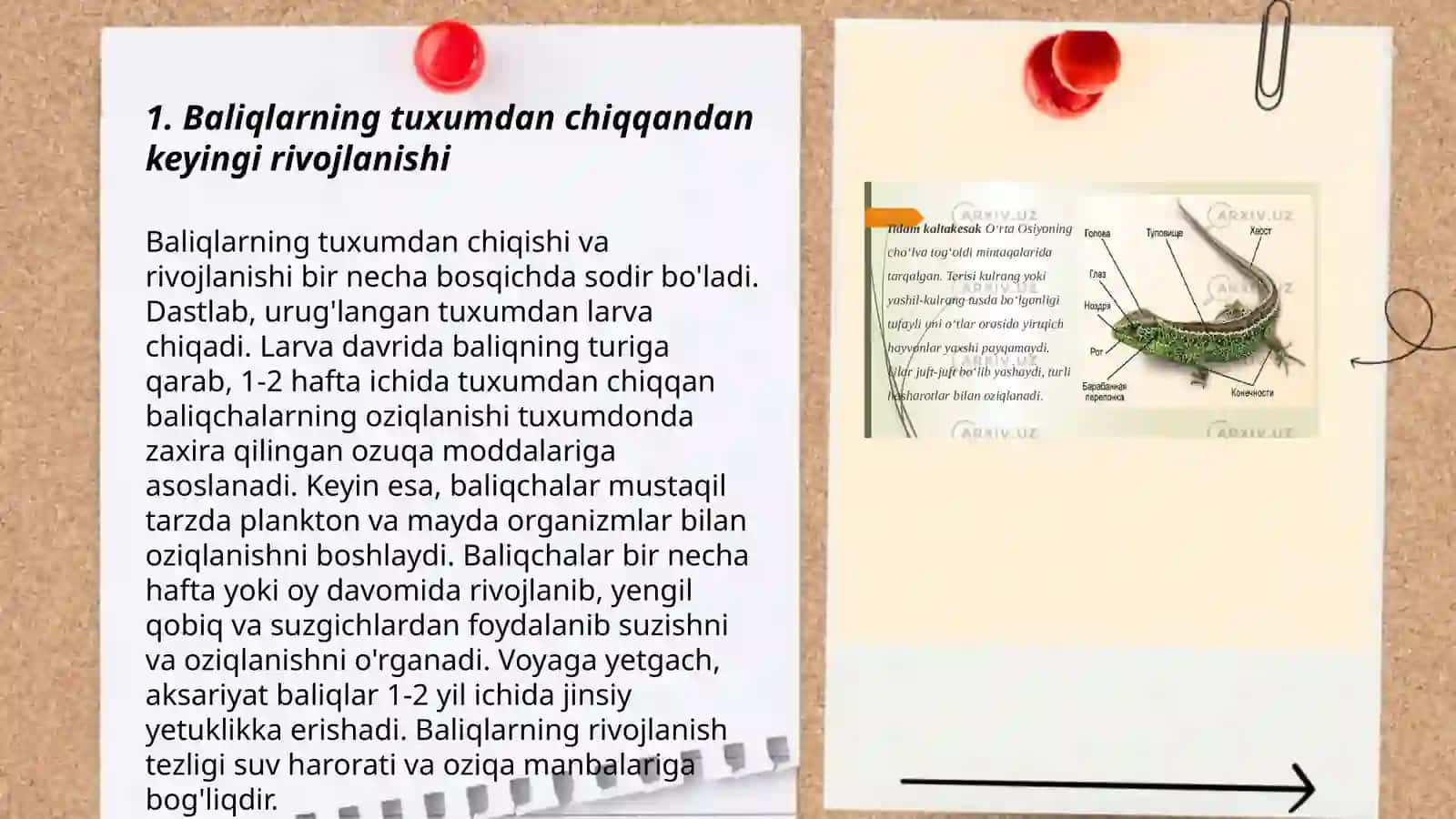 Baliqlarning ko'payishi va rivojlanishi 3
