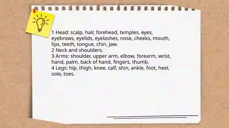 Human body mavzusida inglizcha 3