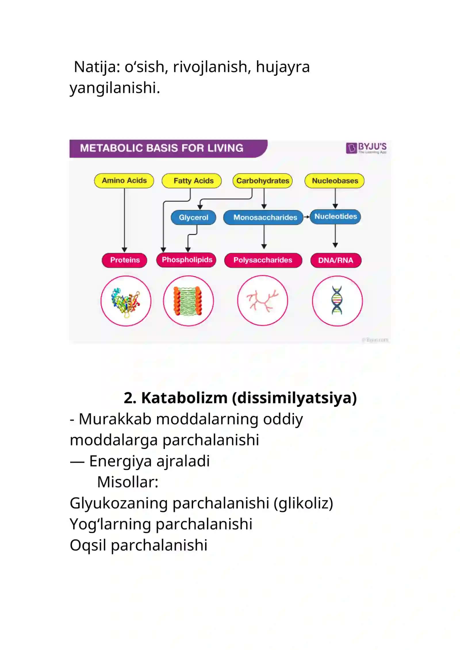 Modda va energiya almashinuvi 3