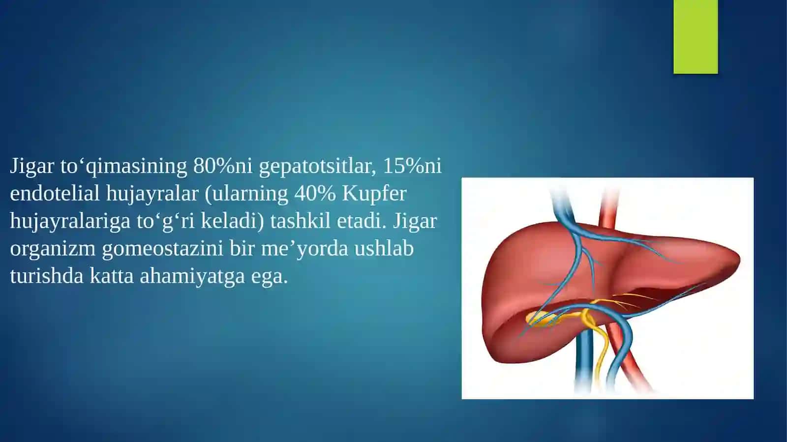 Jigar biokimyosi 3