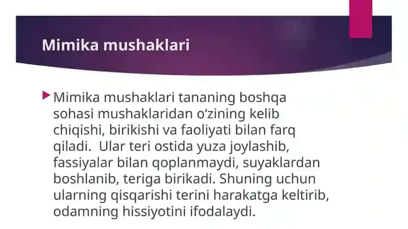 Bosh mushaklarining tuzulishini o’rganish 3