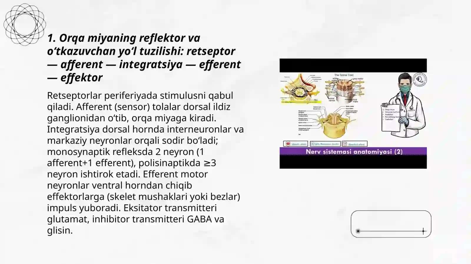 ORQA MIYANING REFLEKTOR VA O'TKAZUVCHAN YO'L FAOLIYATI, TEKSHIRISH USULLARI 3