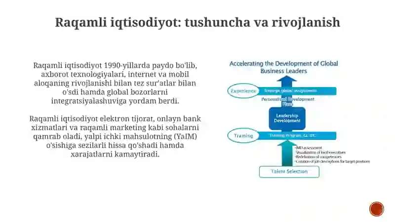 Raqamli iqtisodiyotda inson kapitalining o‘rni va raqamli kompetensiyalar 3