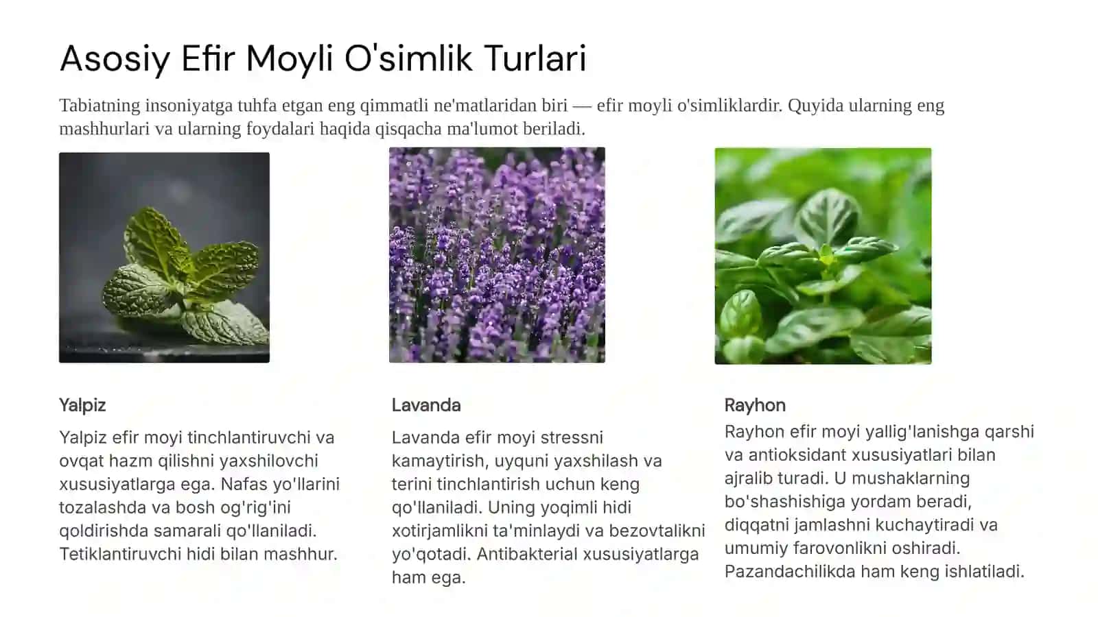 Efir Moyli Dorivor O'simlik Turlari va Muhofazasi 3