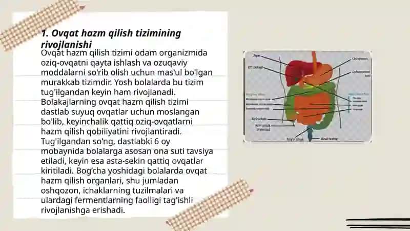 Ovqat hazm qilish tizimining yosh xususiyatlari va ovqatlanish gigiyenasi 3
