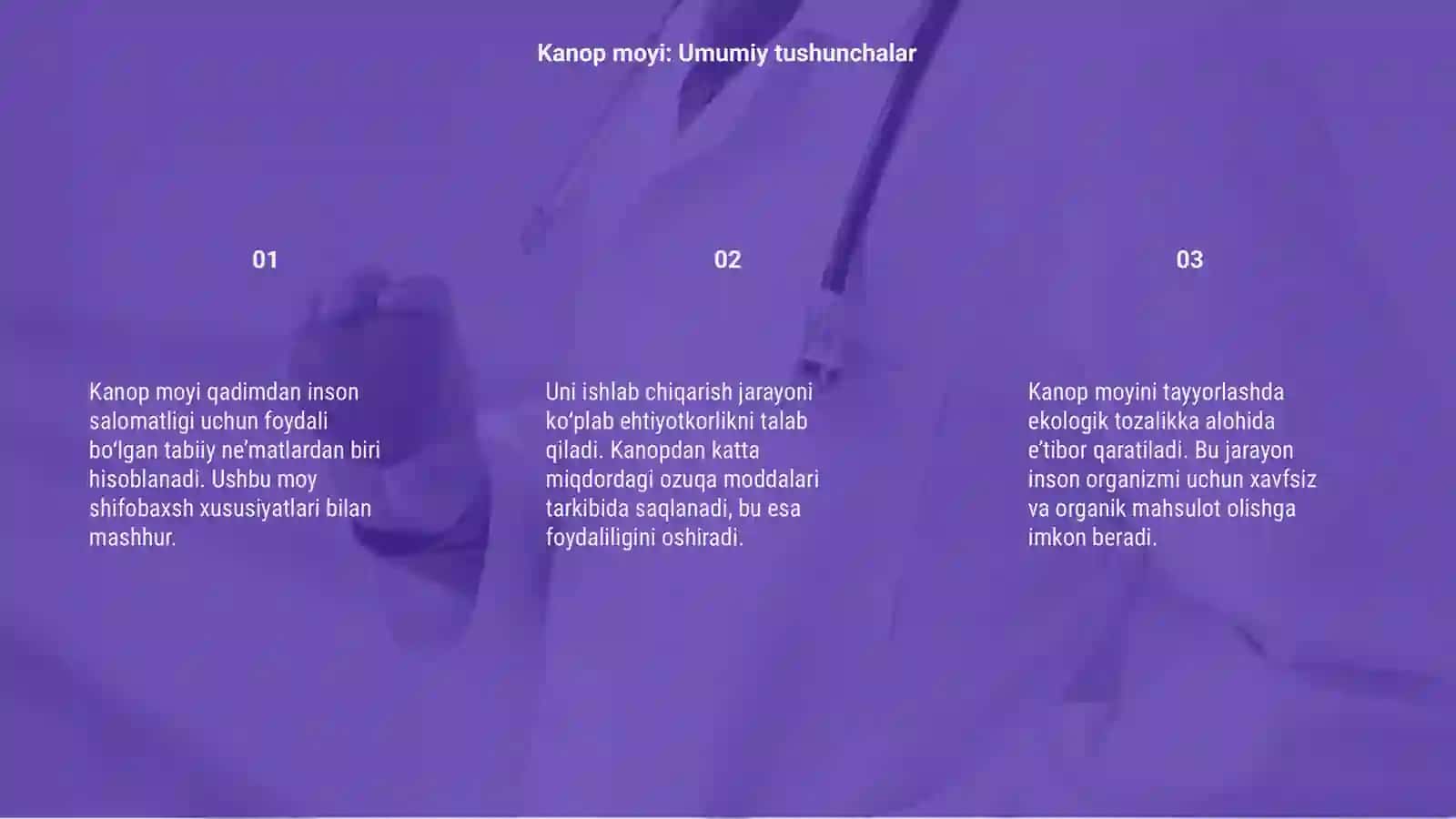 Kanop moyi ishlab chiqarish texnologiyasi 3