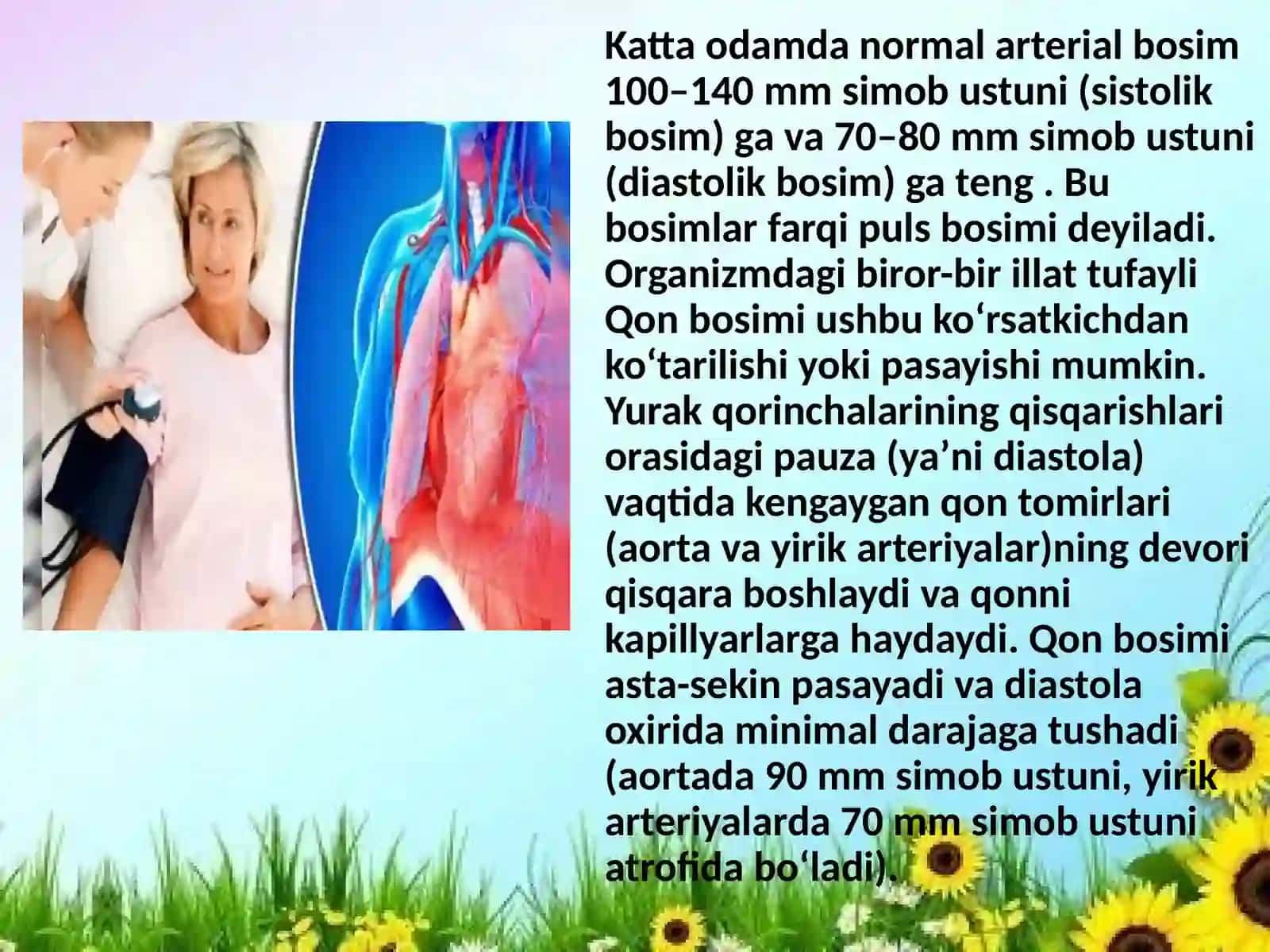 Arterial bosim ko‘tarilganda dorivor o‘simliklardan xalq tabobati usulida davolash 3
