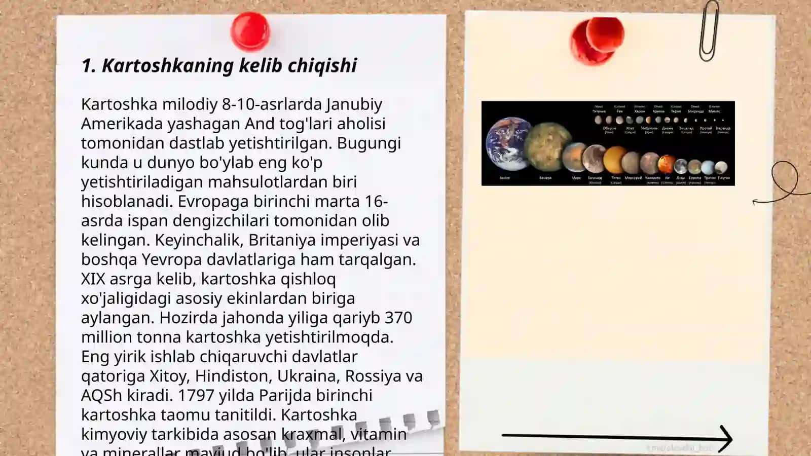 Kartoshkaning ahamiyati biologiyasi va tansefi 3