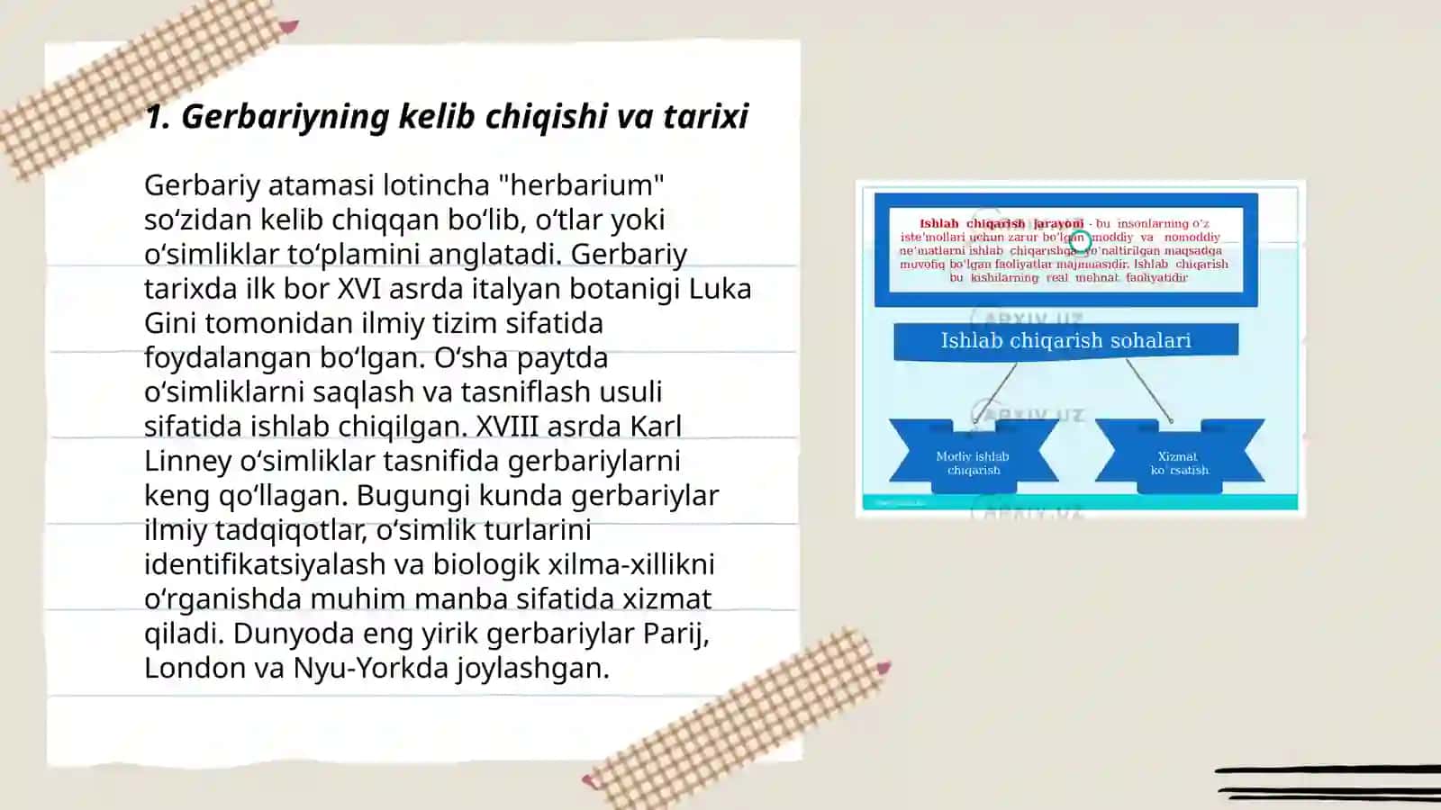 Gerbariy tayyorlash va tayyorlash usullari haqida maʼlumot 3
